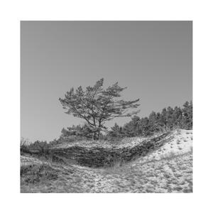 日本少妇熟洞房美女
